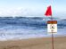 Hawaii Water Contamination: Visitors Swimming in Polluted Waters