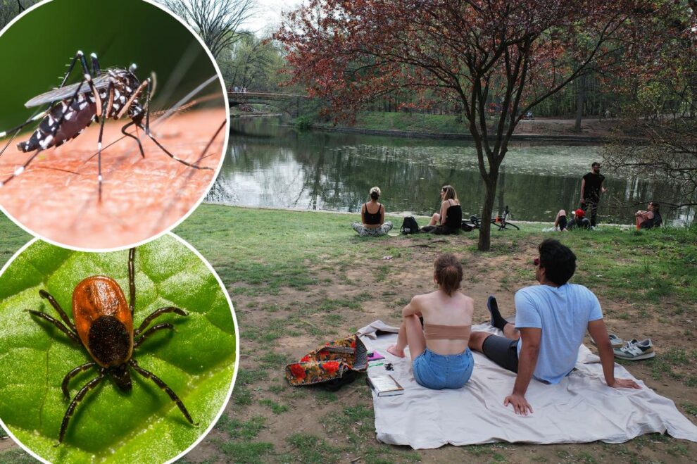 NYC tick mosquito season could be among worst yet