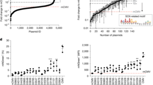 Synthetic Super-Enhancers Enable Precision Viral Immunotherapy