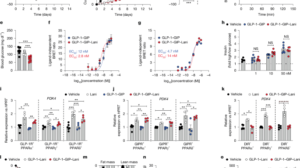 GLP-1 GIP PPAR agonist obesity: Quintuple Agonism in Mice