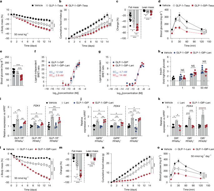 GLP-1 GIP PPAR agonist obesity: Quintuple Agonism in Mice