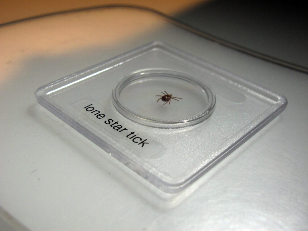Alpha-Gal Syndrome: Spreading Tick Allergy & Safety Tips