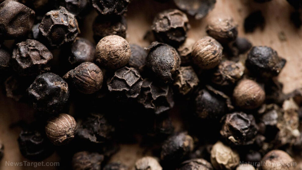 Black Pepper Health Benefits: Nature's Powerful Healer