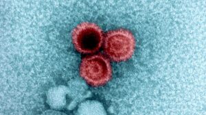 Why Viruses Hide Inside Your Body for Life