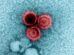 Why Viruses Hide Inside Your Body for Life