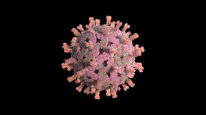 Fatal Diarrhea Outbreak in US State Linked to Water Bacteria