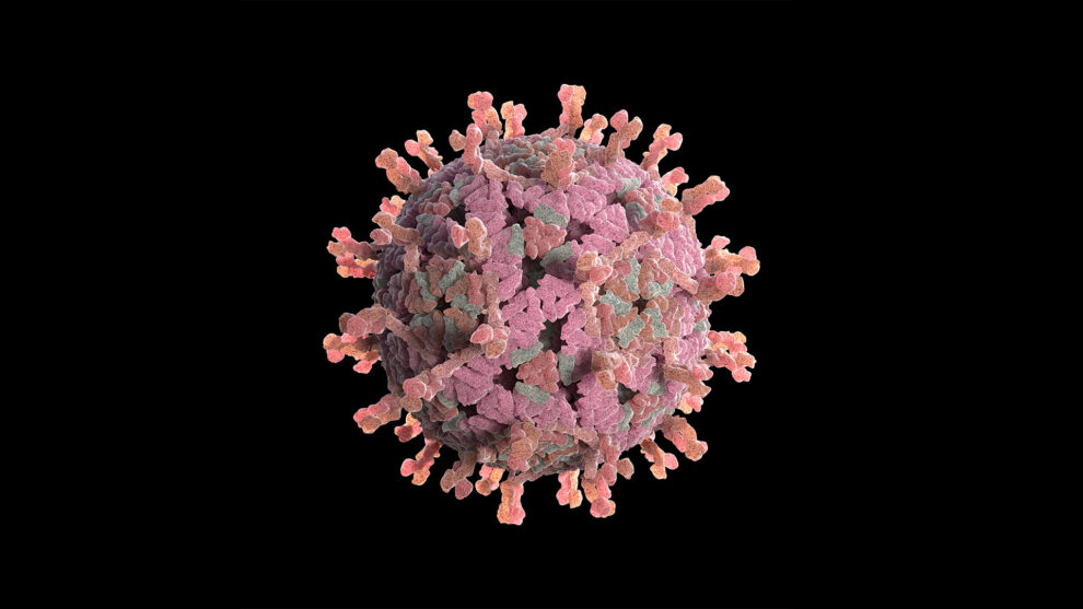 Fatal Diarrhea Outbreak in US State Linked to Water Bacteria
