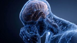 Direct Stress Addiction Link Found in Brain Circuit Study