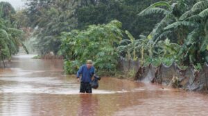 Leptospirosis Risk After Hawaii Floods: Health Officials Warn