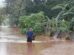Leptospirosis Risk After Hawaii Floods: Health Officials Warn