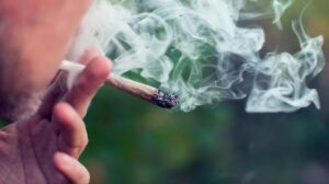 Weed teen brain development: Largest US study warns of harm