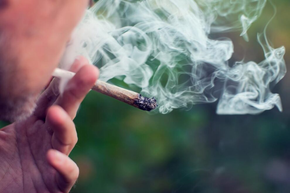 Weed teen brain development: Largest US study warns of harm