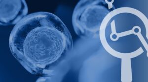 Polyendocrine Metabolic Ovarian Syndrome: New Name for PCOS