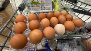Eggs Alzheimer's Risk: New Study Findings