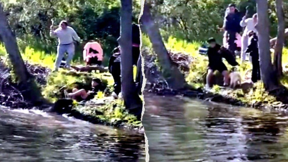 Rabid Beaver Attack: Child Bitten at NJ Lake