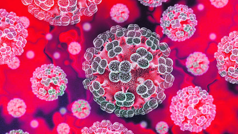 Hantavirus in Semen After Six Years: Should We Worry?