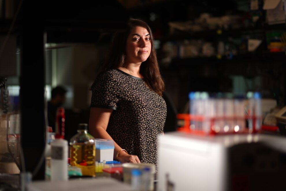AI Aging Research: Bay Area Scientists Seek Healthier Longevity