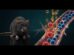 Fish Oil Insulin Resistance Reduced in Rat Study