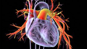 Ralinepag Lowers PAH Clinical Worsening Risk in Trial