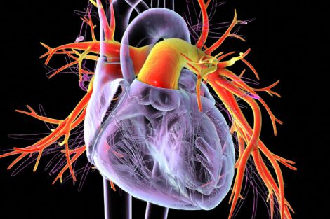 Ralinepag Lowers PAH Clinical Worsening Risk in Trial