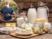 Yogurt biological aging men: study shows 2.2% slowdown