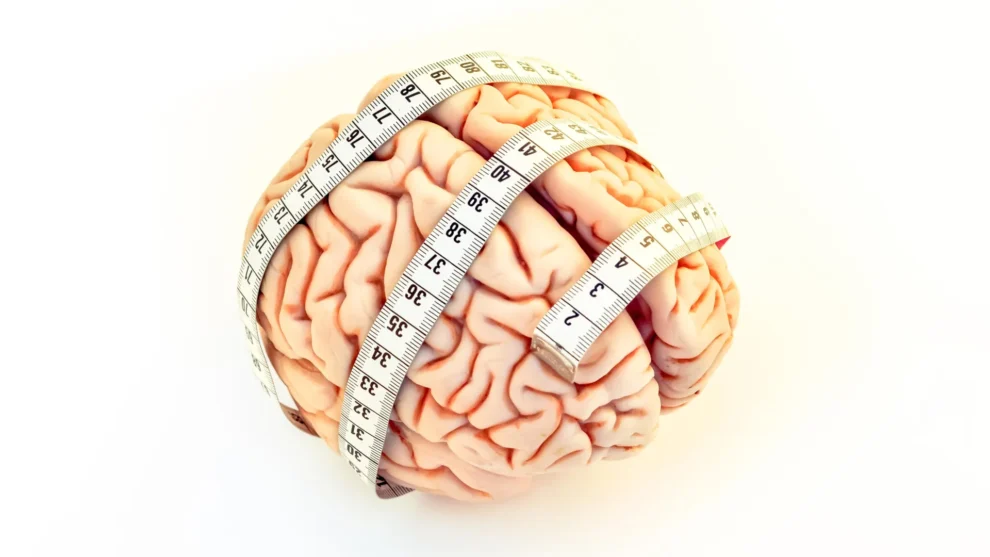 Midlife TV watching linked to brain shrinkage