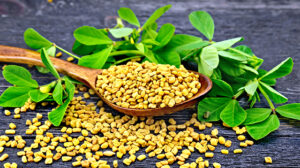 Fenugreek Blood Sugar: 26 Trials Show Low-Dose Benefits