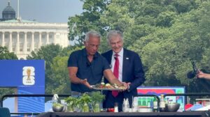 Dr Oz Health Tips: 3 Free Ways to Boost Wellness and Longevity