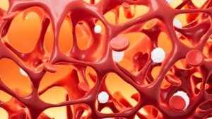 Bone density rebound in trans youth after puberty blockers