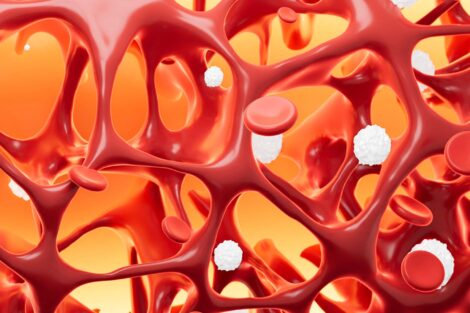 Bone density rebound in trans youth after puberty blockers