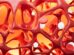 Bone density rebound in trans youth after puberty blockers