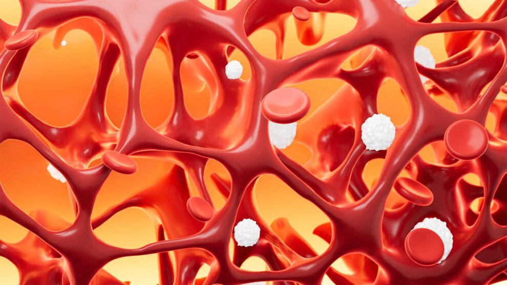 Bone density rebound in trans youth after puberty blockers