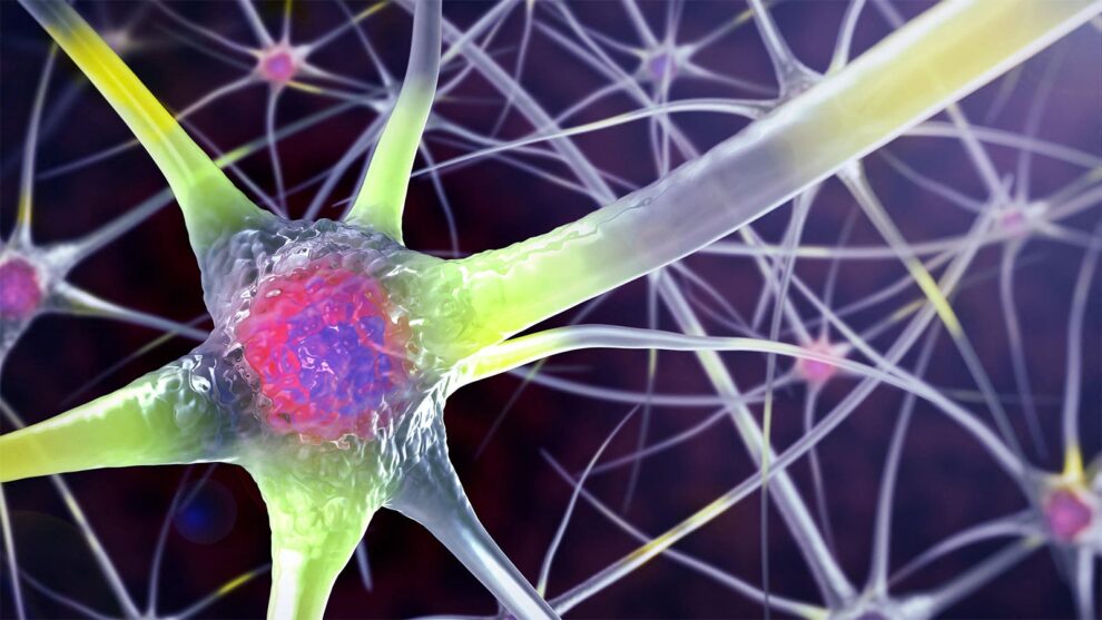 Three Midlife Factors Linked to 13 More Dementia-Free Years
