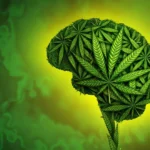 Teen cannabis memory decline linked to slower cognitive growth