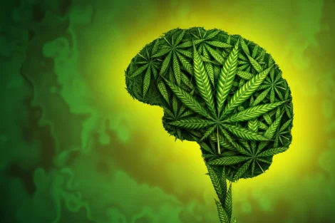 Teen cannabis memory decline linked to slower cognitive growth