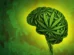 Teen cannabis memory decline linked to slower cognitive growth