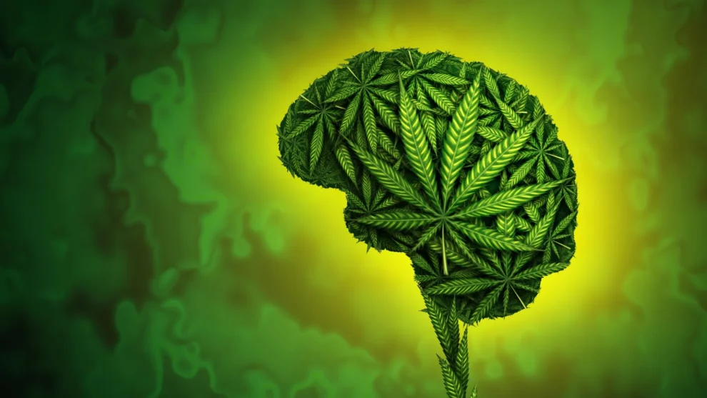 Teen cannabis memory decline linked to slower cognitive growth