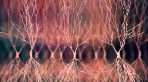 Two compounds may reveal Alzheimer's hidden drivers