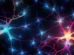 Study Finds Hidden Brain Shift Starts at Age 50