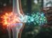 Plant compound may treat rheumatoid arthritis at its source