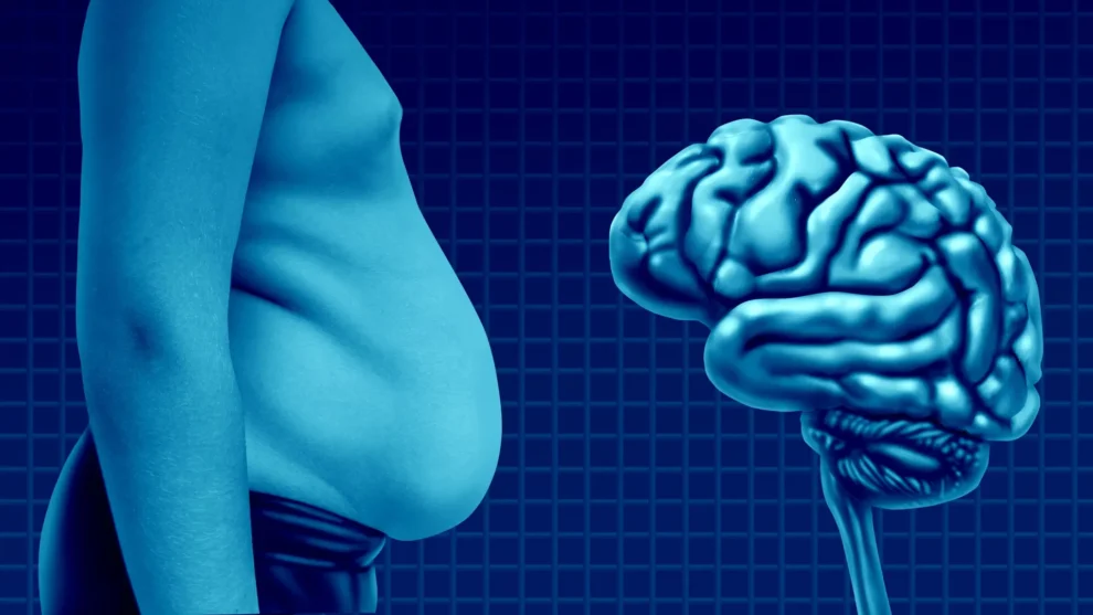 Fat Molecules May Link Obesity to Alzheimer's Disease
